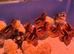 Beautiful chicks