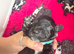 GORGEOUS FB1 COCKAPOO PUPPIES – AVAILABLE FROM 21ST OCTOBER 5 boys available