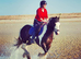 Horses available for part loan in Arborfield, Berkshire