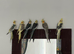 Baby cockatiel birds