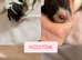 6 Springer spaniel pups