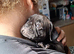 2 gorgeous Frug puppies