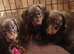Miniature Smooth Chocolate/Tan Dachshund Puppies