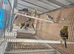 Mixed birds finches to parrots