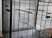 Perfect Condition Bird Cage - Classic Waldorf