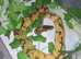Beautiful super fire enchi