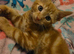 4 kittens left