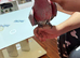 Baby galah Cockatoo