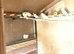 40+ Mixed canaries for sale £15 each or £450 the lot. 88 years old and wan;ts to give up.