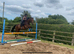 16.3hh TB X ID
