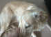 Tilly