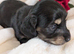 Last stunning boy available