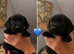 Cockerdales (patterdale cross cocker spaniel)