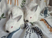 CALIFORNIAN WHITE BUCK KITS X6