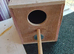 Parakeet cage and nest boxes