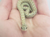 Albino Caramel &   Frosted 66% Het Albino 50% Het Sable