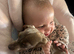 Beautiful 5-Month-Old Isabella Miniature Dachshund Looking for Her New Home