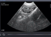 Microchipping Services @ DCFertilityServices