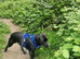 Lovely dog