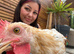Leghorn/bantham cockerel