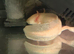 3 axolotls for rehoming