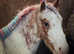 Casimo Ranch Connection Horsemanship