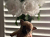 Adorable Pomchi Puppies Looking for Their Forever Homes**