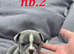 Beautiful French Bulldog puppies