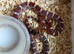 Het palmetto baby corn snakes