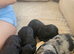 Cockerpoo puppies