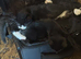 Gorgeous black and white kittens