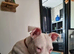 Bullseye 7 months old