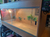 Vivarium LARGE with electrics