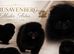 KC DNA SHORT MUZZLE MINIATURE POMERANIAN PUPPIES