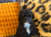 Toy poodle male Boy phantom Black and Tan