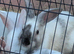 3 gorgeous babies