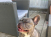 New home needed for this frenchie