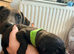 Belgian mali cross