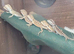 Baby bearded dragon