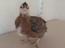 16 female cream legbar chicks