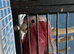 Baby galah cockatoo