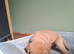 Labrador puppies