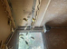 40+ Mixed canaries for sale £15 each or £450 the lot. 88 years old and wan;ts to give up.