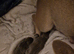 2 Frug Puppies left