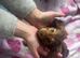 Long haired  miniature daxi pups