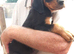 Boxer X Rottweiler