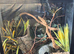 Beautiful handled crested gecko.