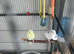 Budgies ready to go ️ 