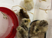 Silkie hatchlings