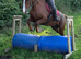 15h 5yrs Welsh d would consider loan